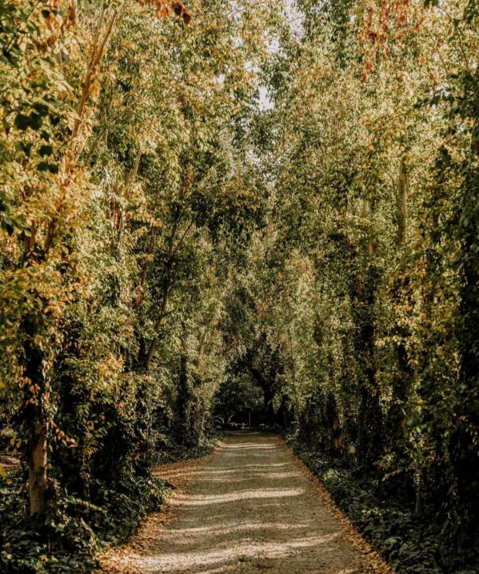 Villiera Guesthouse Douglas ภายนอก รูปภาพ